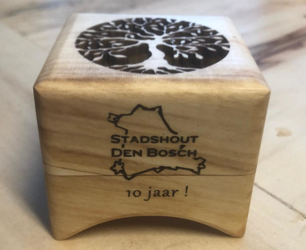 Robinwoodmusicbox - kado Stadshout 10 jaar